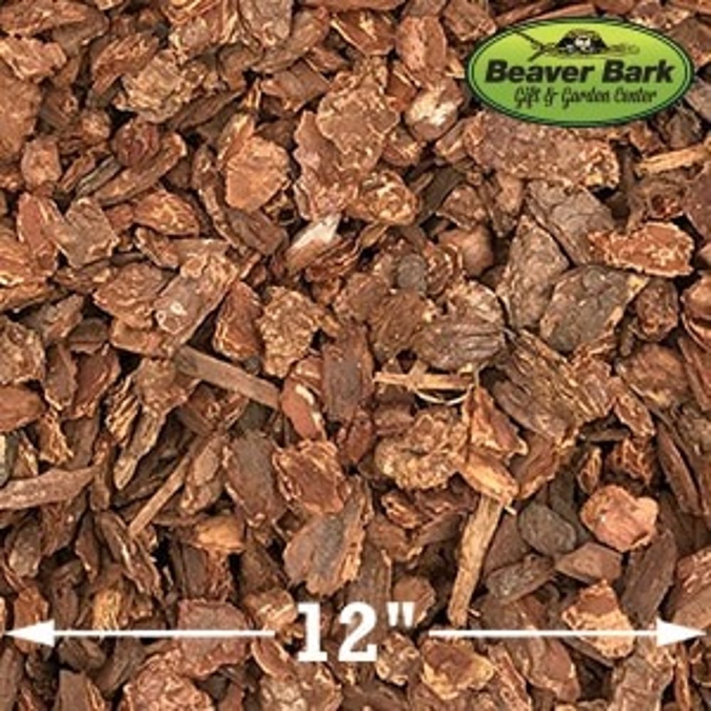 Bernies Favorite Nugget Bark