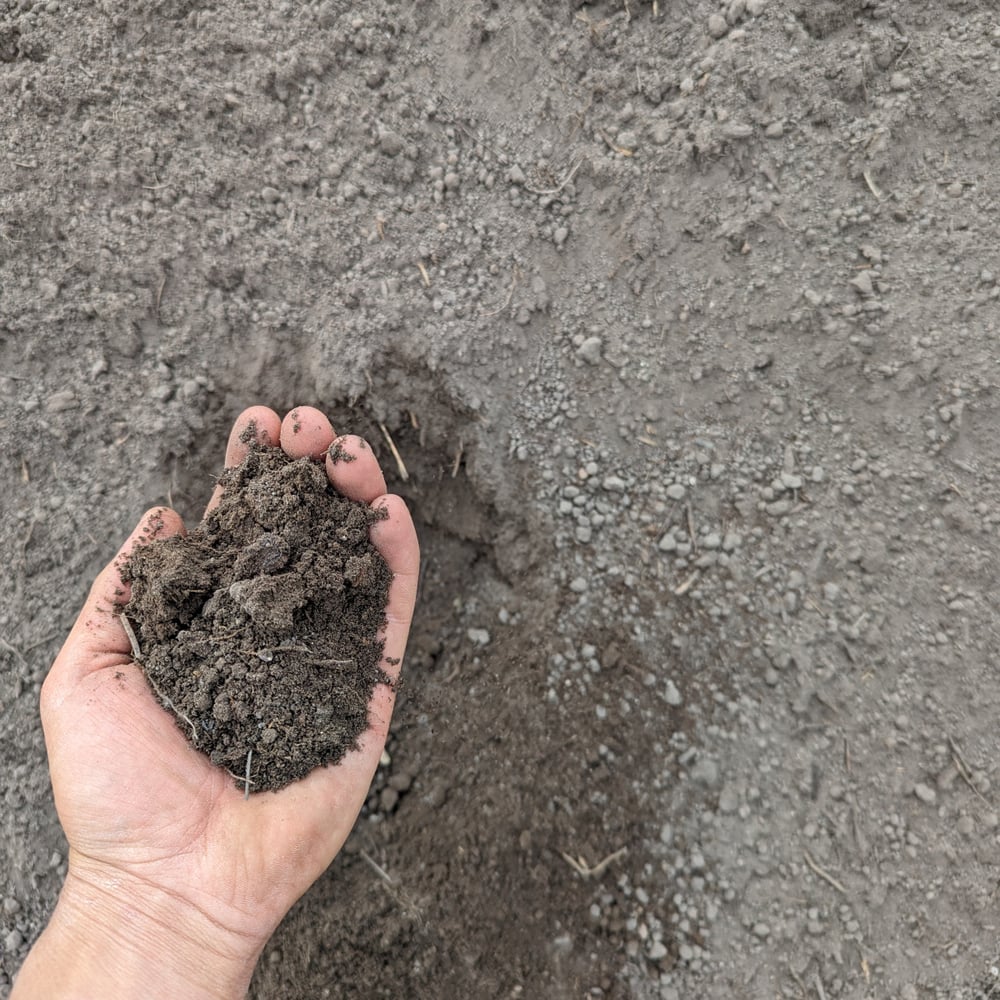 Screened Topsoil