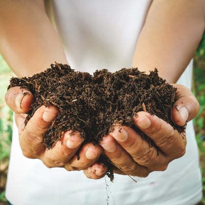 Nature Wise Select Compost