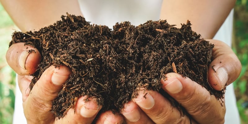 Nature Wise Select Compost