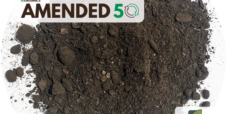 Amended 50