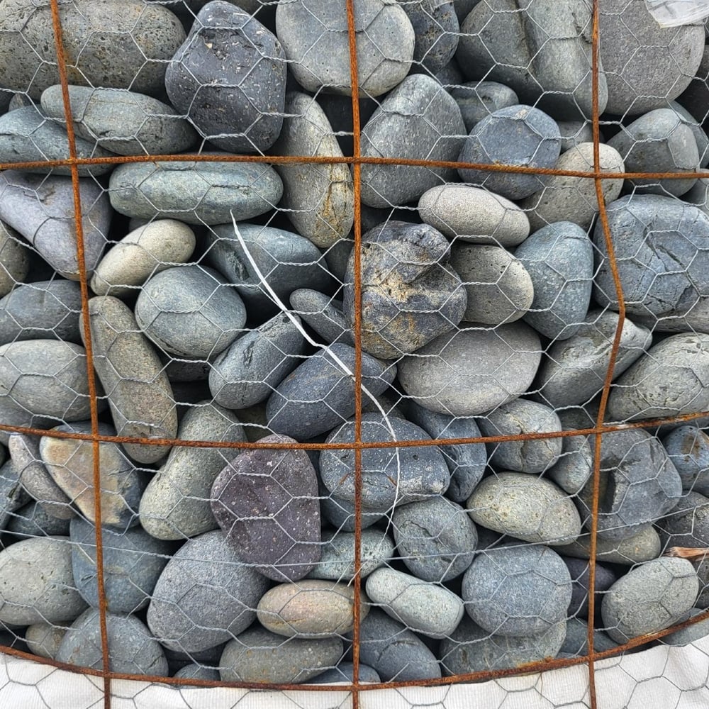 MEXICAN BEACH BLACK 2-3 INCH