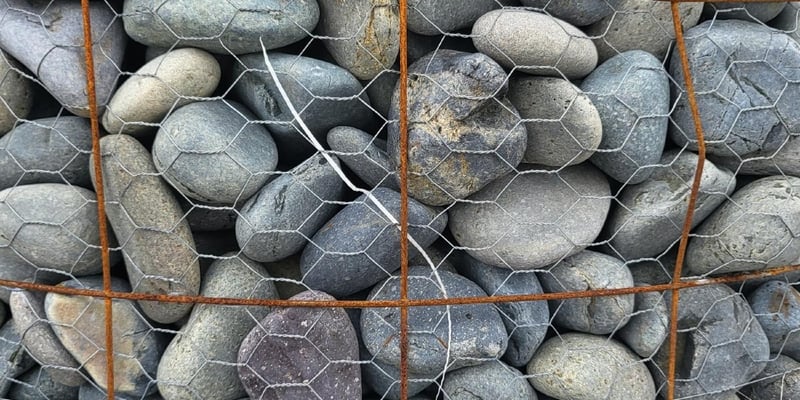 MEXICAN BEACH BLACK 2-3 INCH