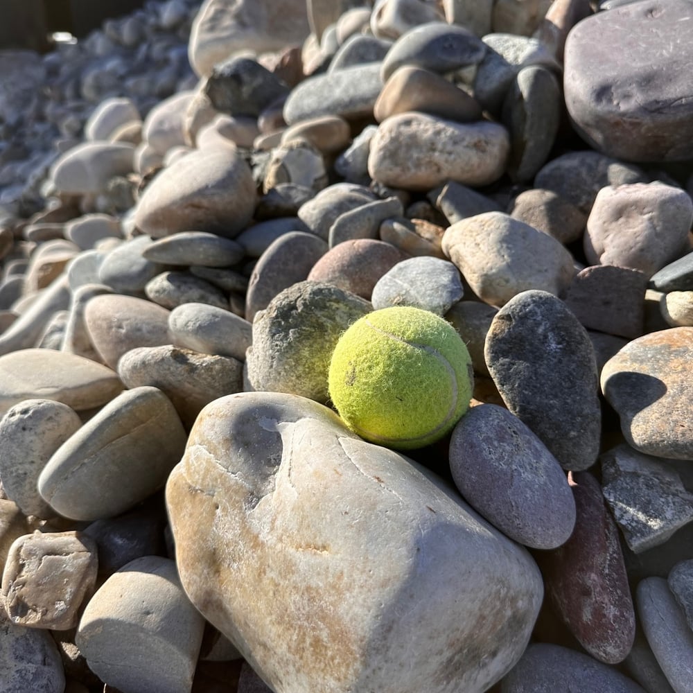 Washed Cobble 3” +