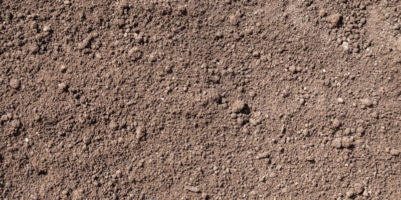 Soil - Topsoil - Screened