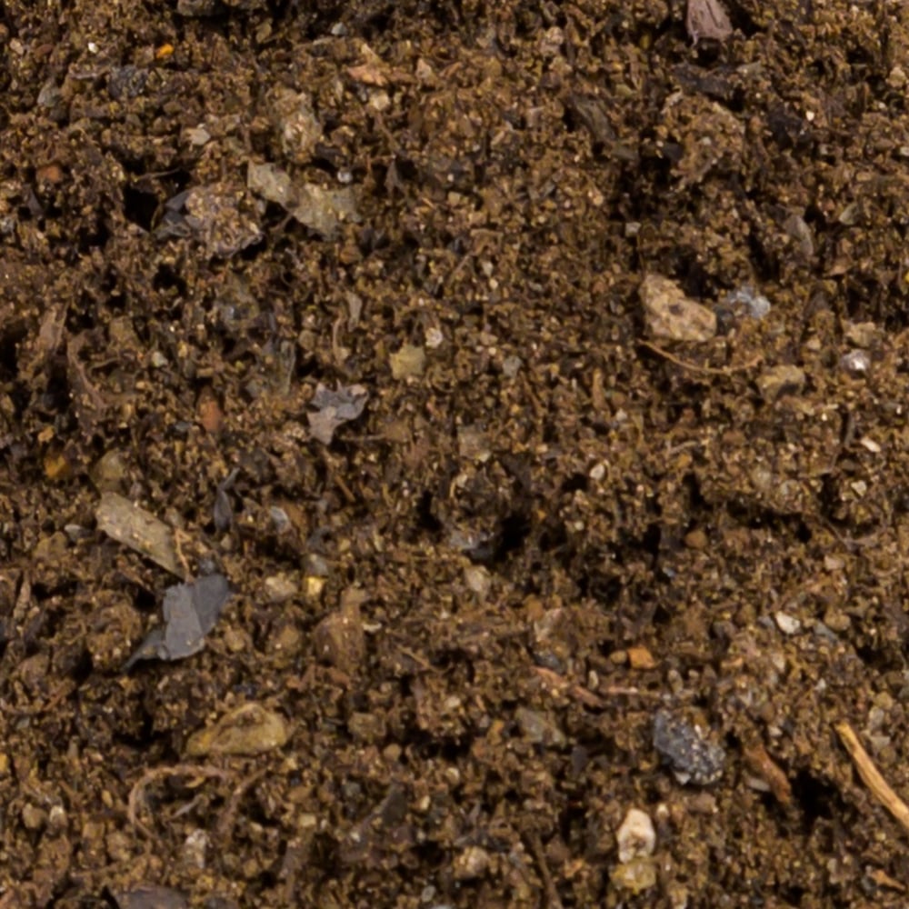 Bioretention Soil