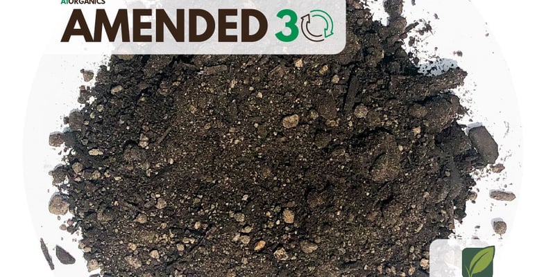 Amended 30
