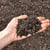 Soil Pep in hand