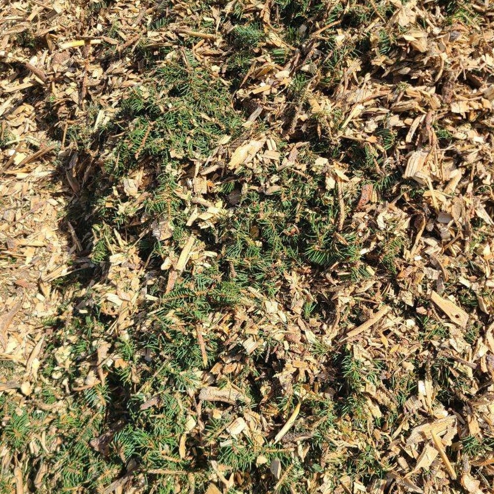 Arborist Wood Chips