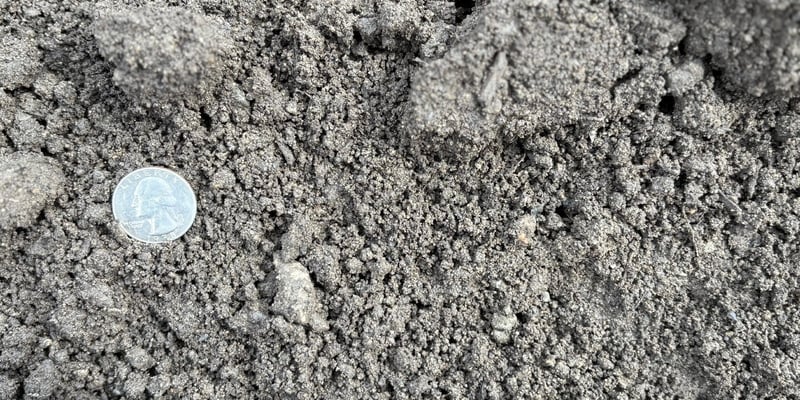 Screened Loam
