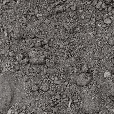 Pulverized Topsoil Image