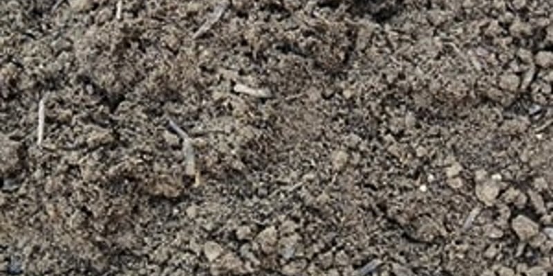 Enriched Dirt