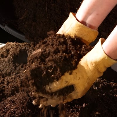 Compost Image