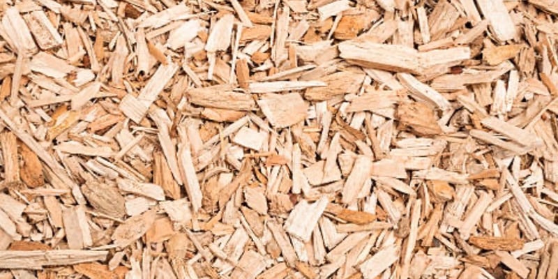 Chipper Chips