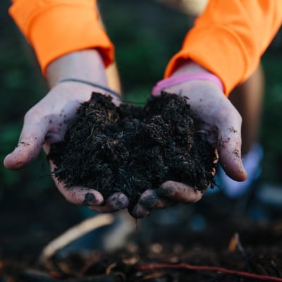 Bulk Perennial Plant and Tree Compost Image