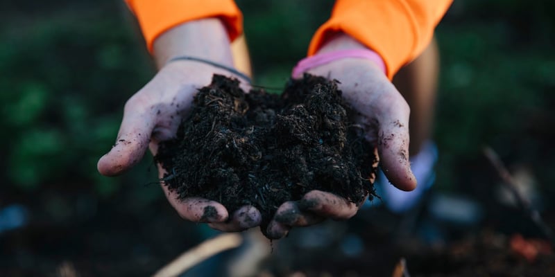 Bulk Perennial/Tree Compost