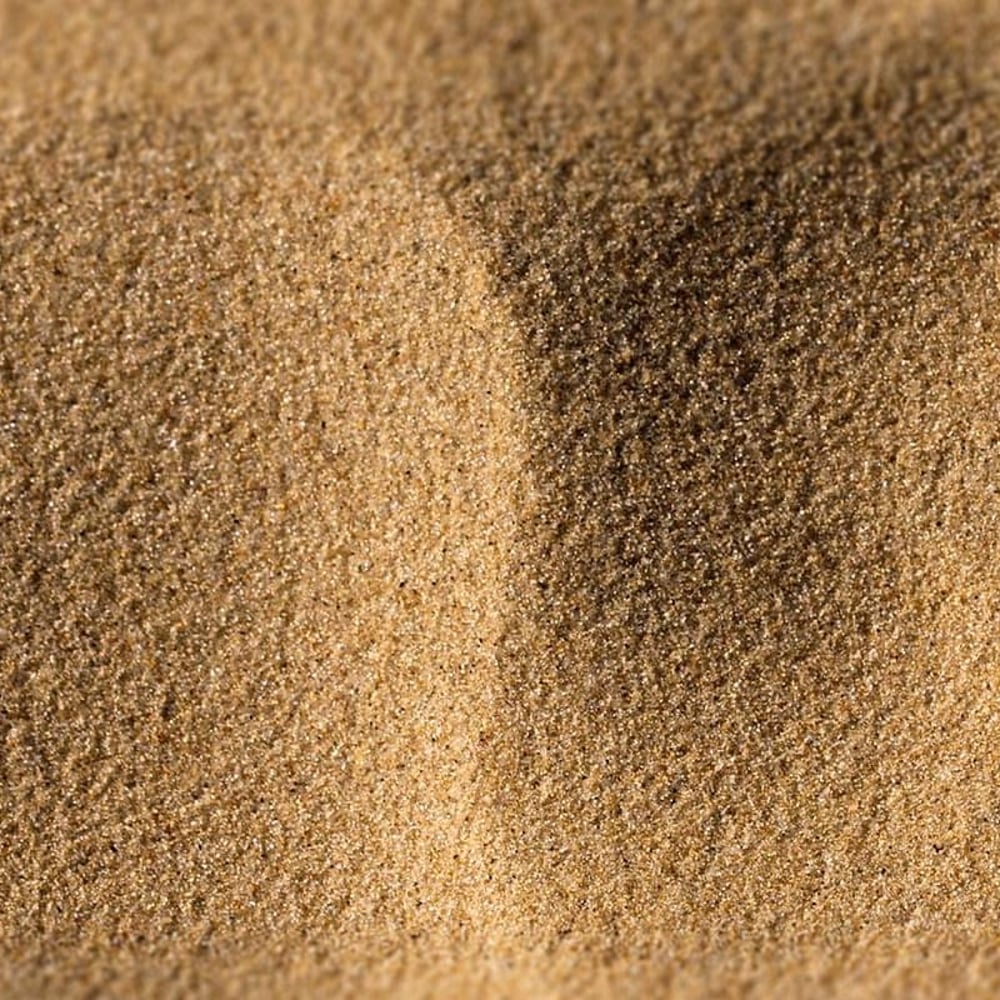 Lake Michigan Beach Sand