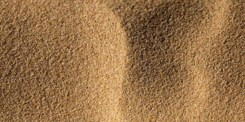Lake Michigan Beach Sand