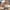 Coping Brown 2-3"x16" Wide (#60-16BR)