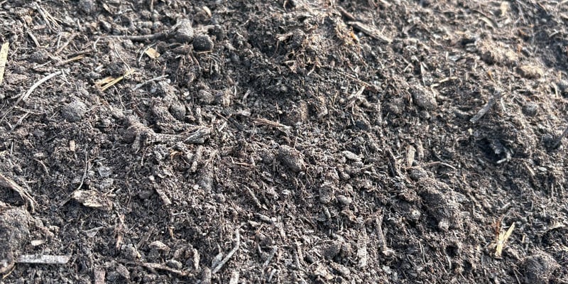 Metrolina Blend (Mushroom Compost)