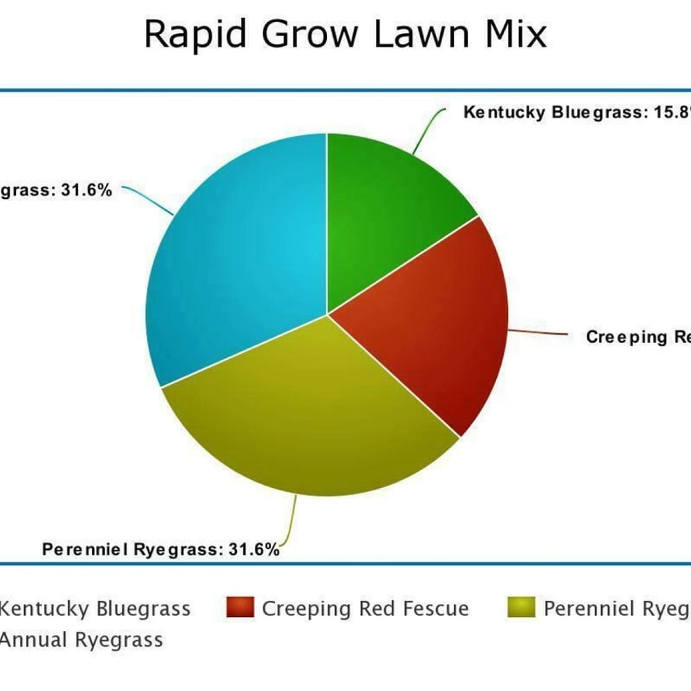 Grass Seed- Rapid Grow Mix