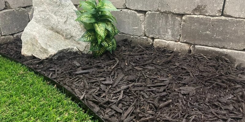 Dark Brown Mulch