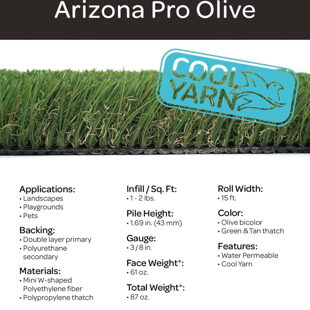 AZ Pro Olive