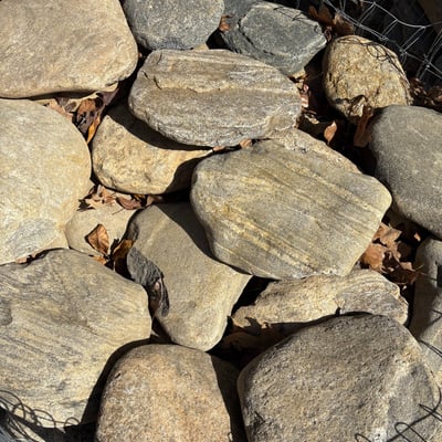 NC River Slicks (Large) Image