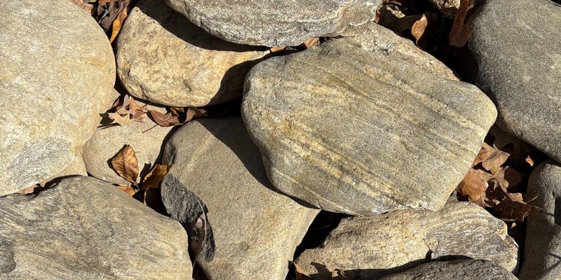 NC River Slicks (Large)