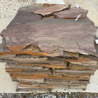 SHAWNEE STEPPERS BLUE/BROWN 1"