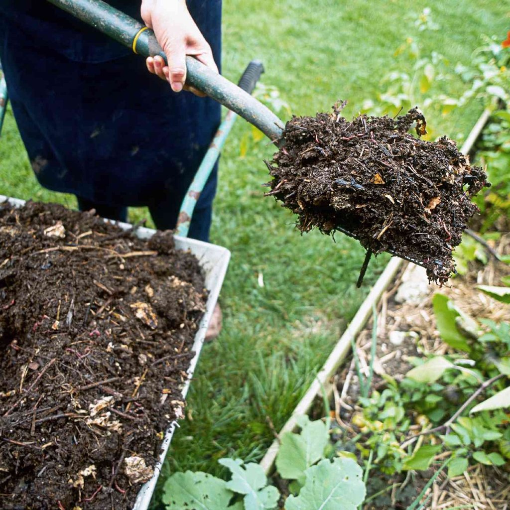 Dirt & Compost