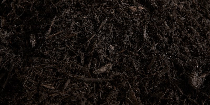 Black Mulch
