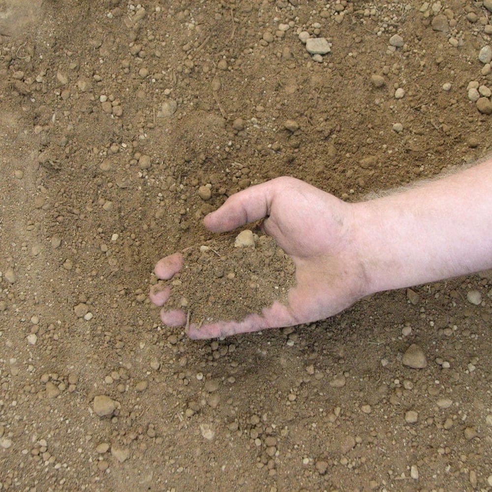 Premium Topsoil