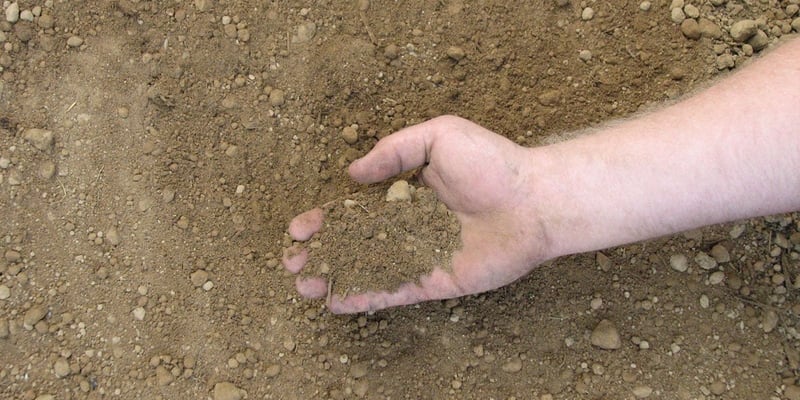 Premium Topsoil