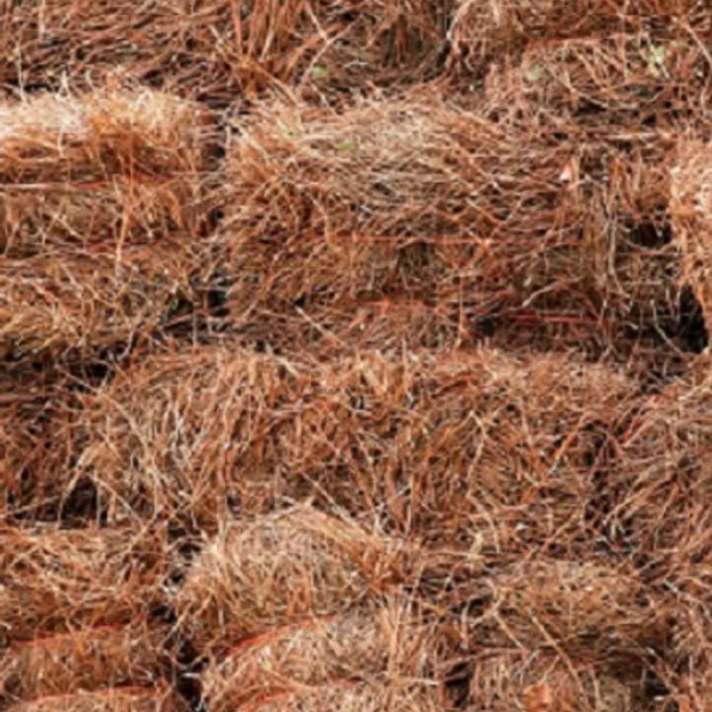 SC Long Needle Pine Straw