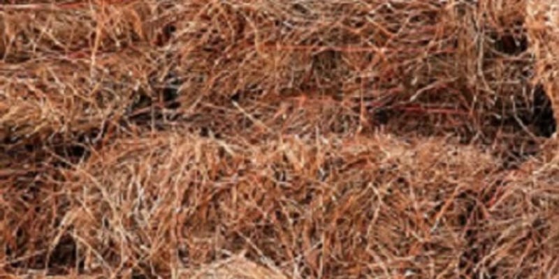 SC Long Needle Pine Straw