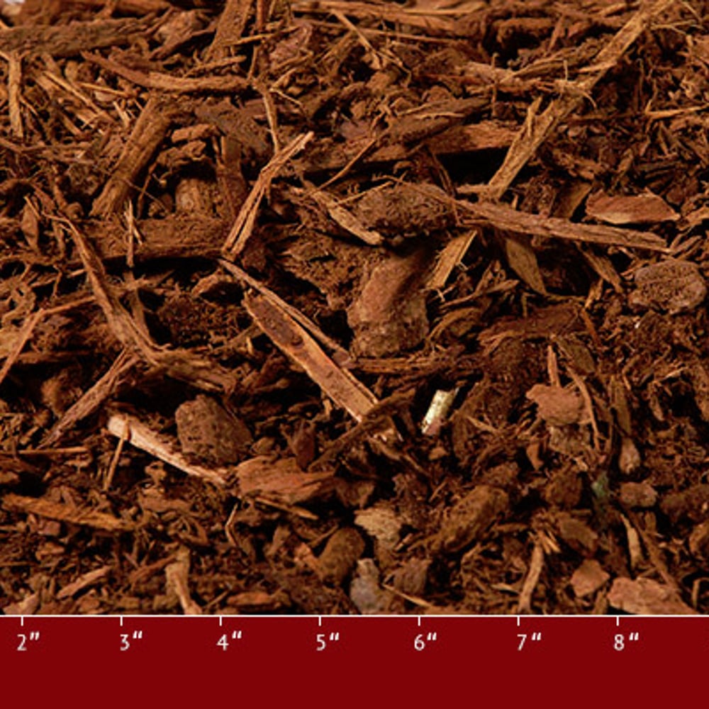 Bright Hemlock Mulch