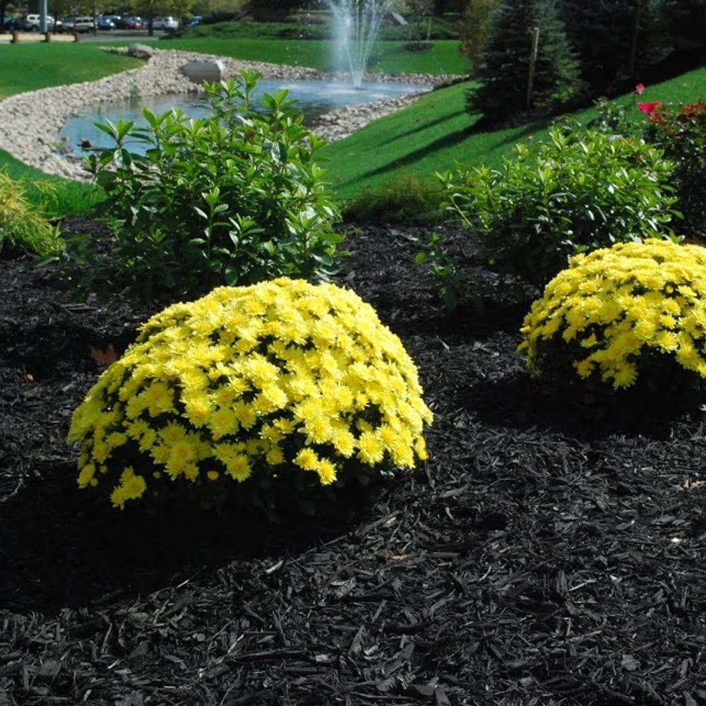 Ultra Brown Mulch Copy