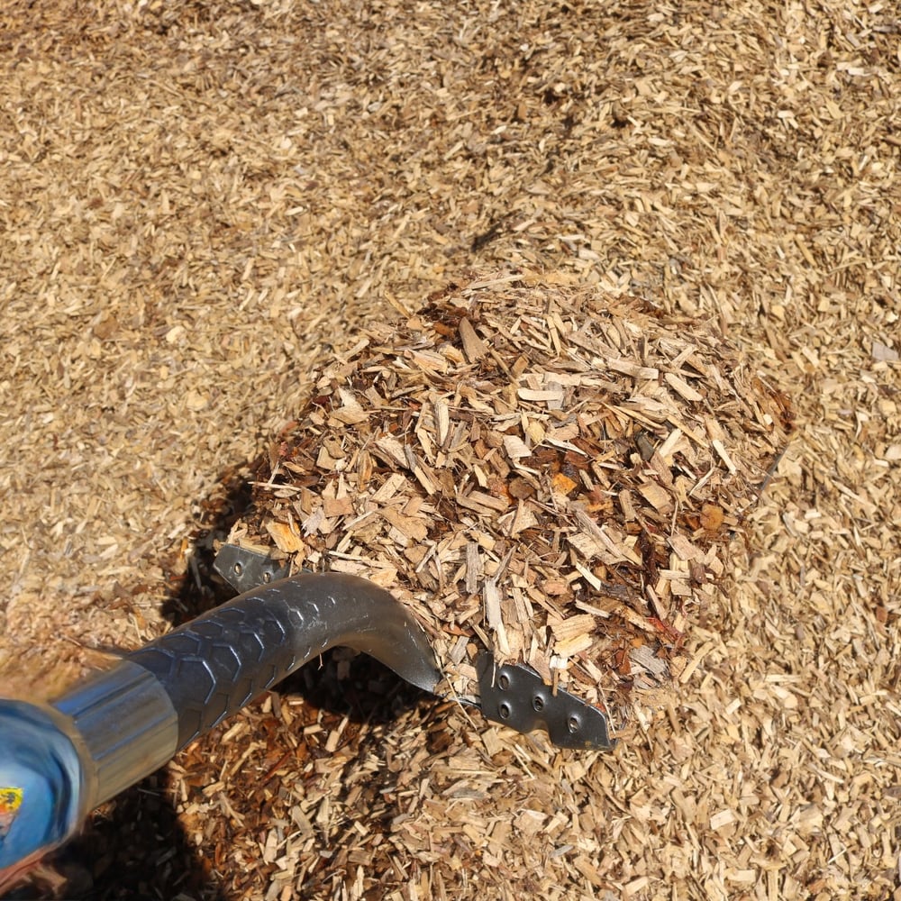 Cypress Playground Chips