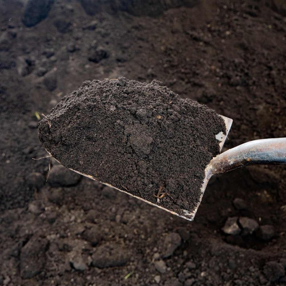 Soil, Black Dirt, Pulverized - Bulk