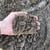Sand (Washed)