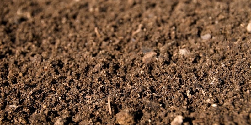 Garden Soil