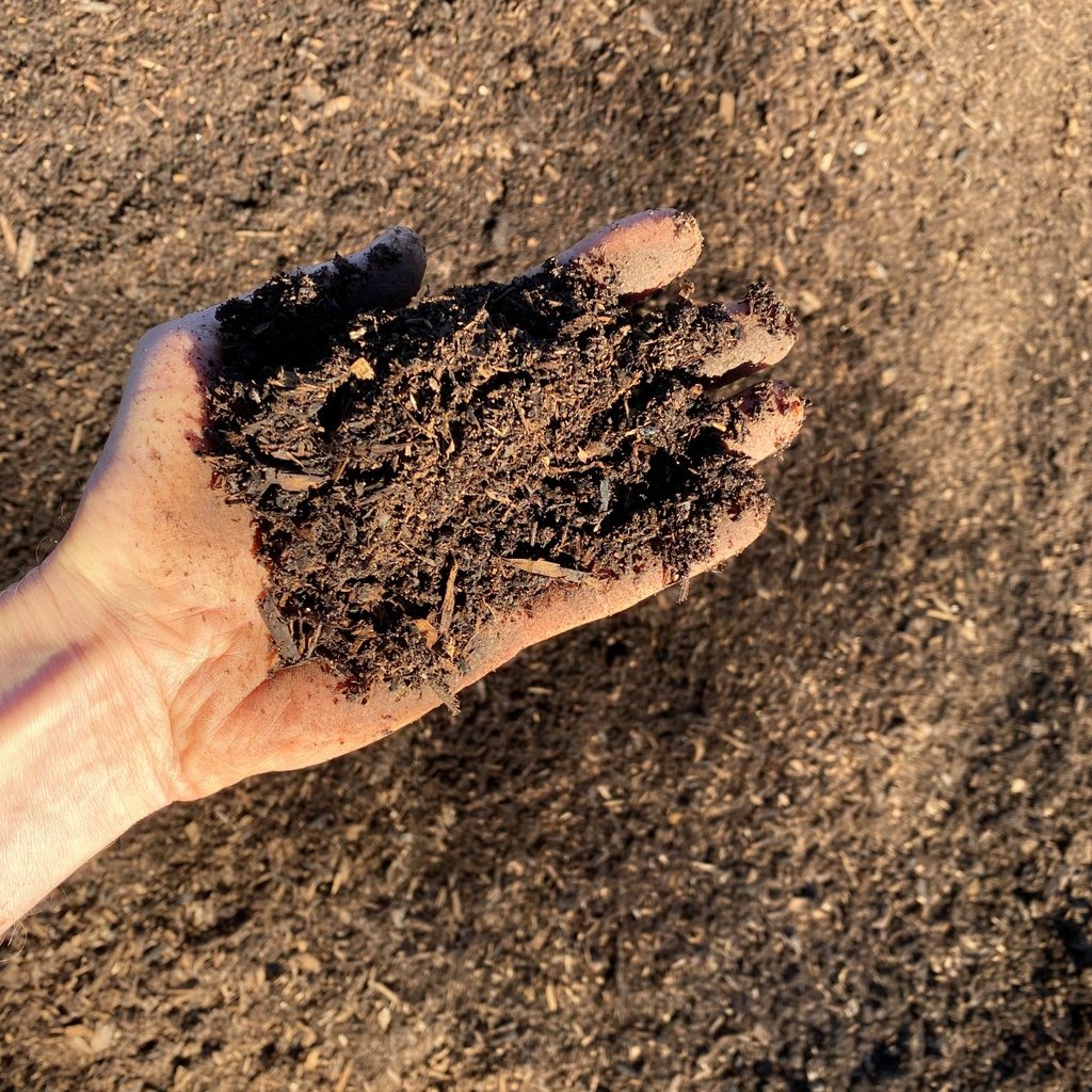 Overhead view of organic poultry compost with a hand holding material for scale.