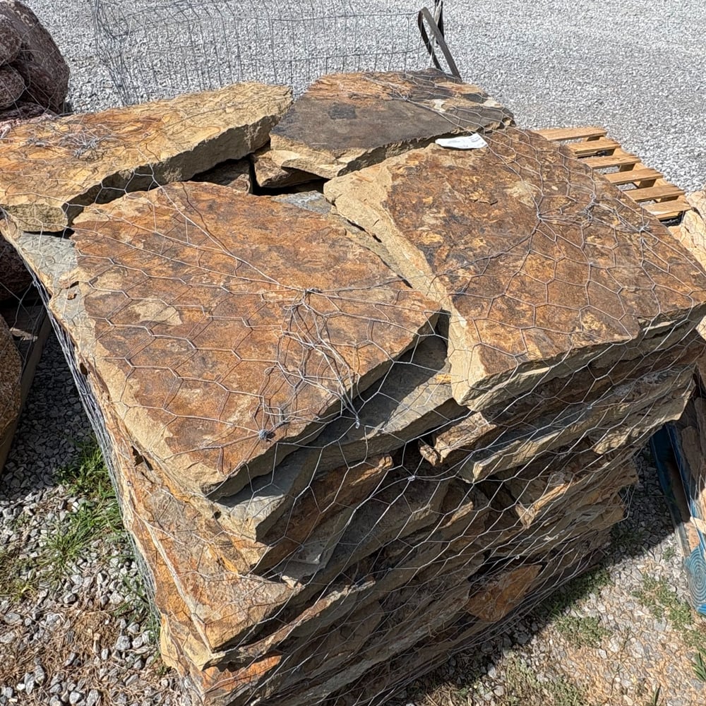 HICKORY STAR STEPPERS