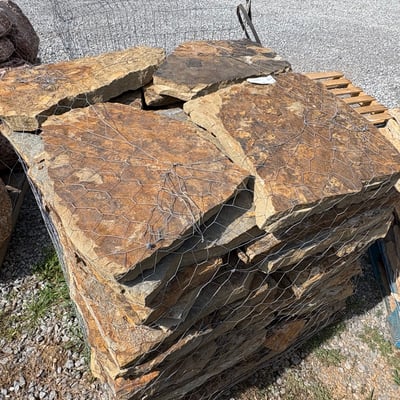 HICKORY STAR STEPPERS