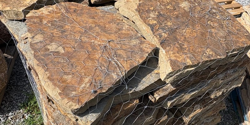 HICKORY STAR STEPPERS