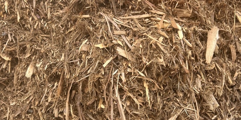 Cedar Mulch