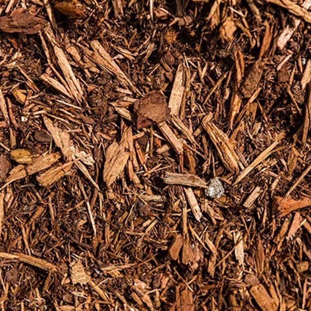 Hemlock Colored Mulch