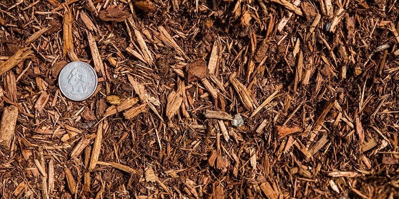 Hemlock Colored Mulch