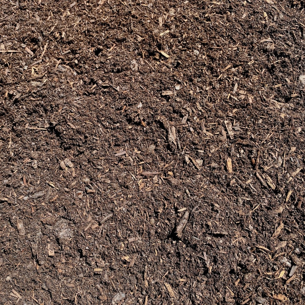 Aged Spruce (Dark Brown)